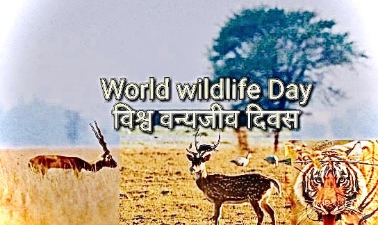 WORLD WILDLIFE DAY